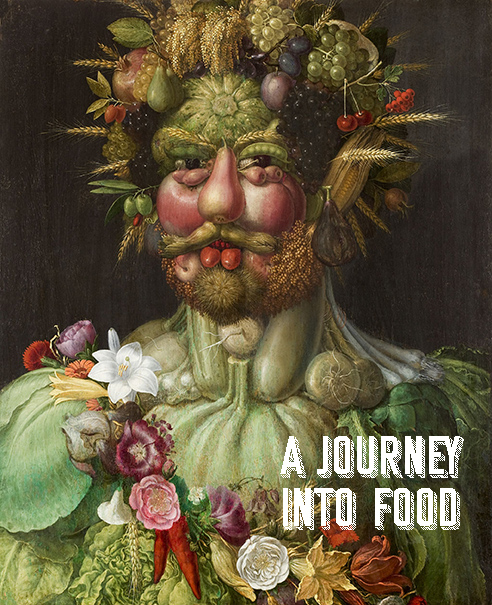 a journey into food